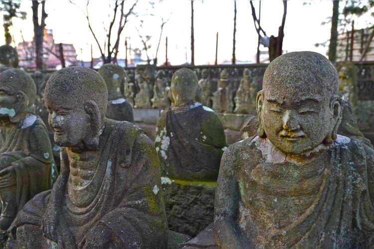 喜多院 (Kitain Temple) 6