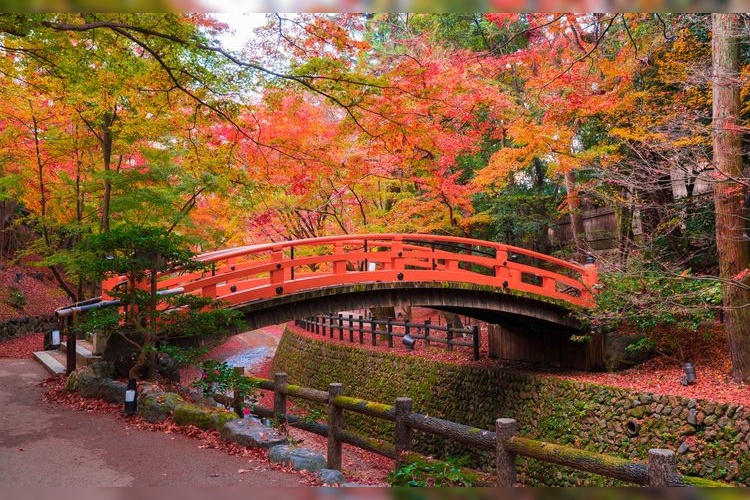 Kitano Tenmangu 2
