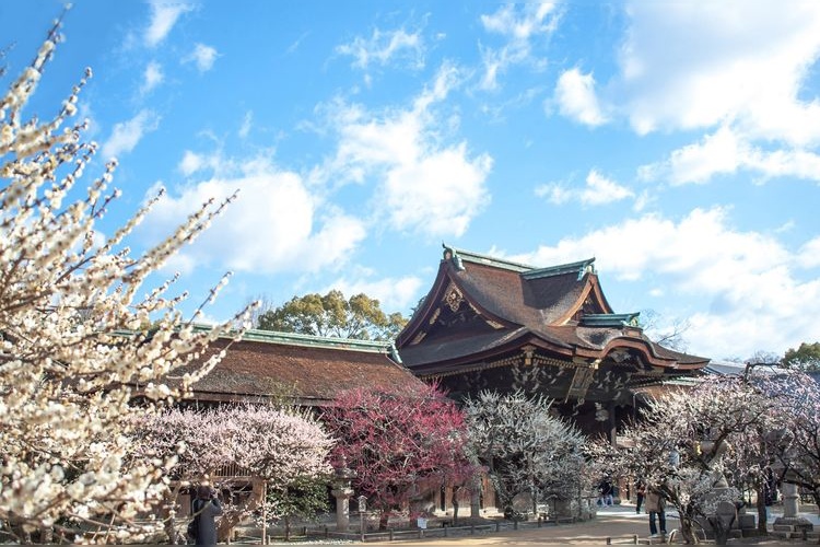 Kitano Tenmangu 3