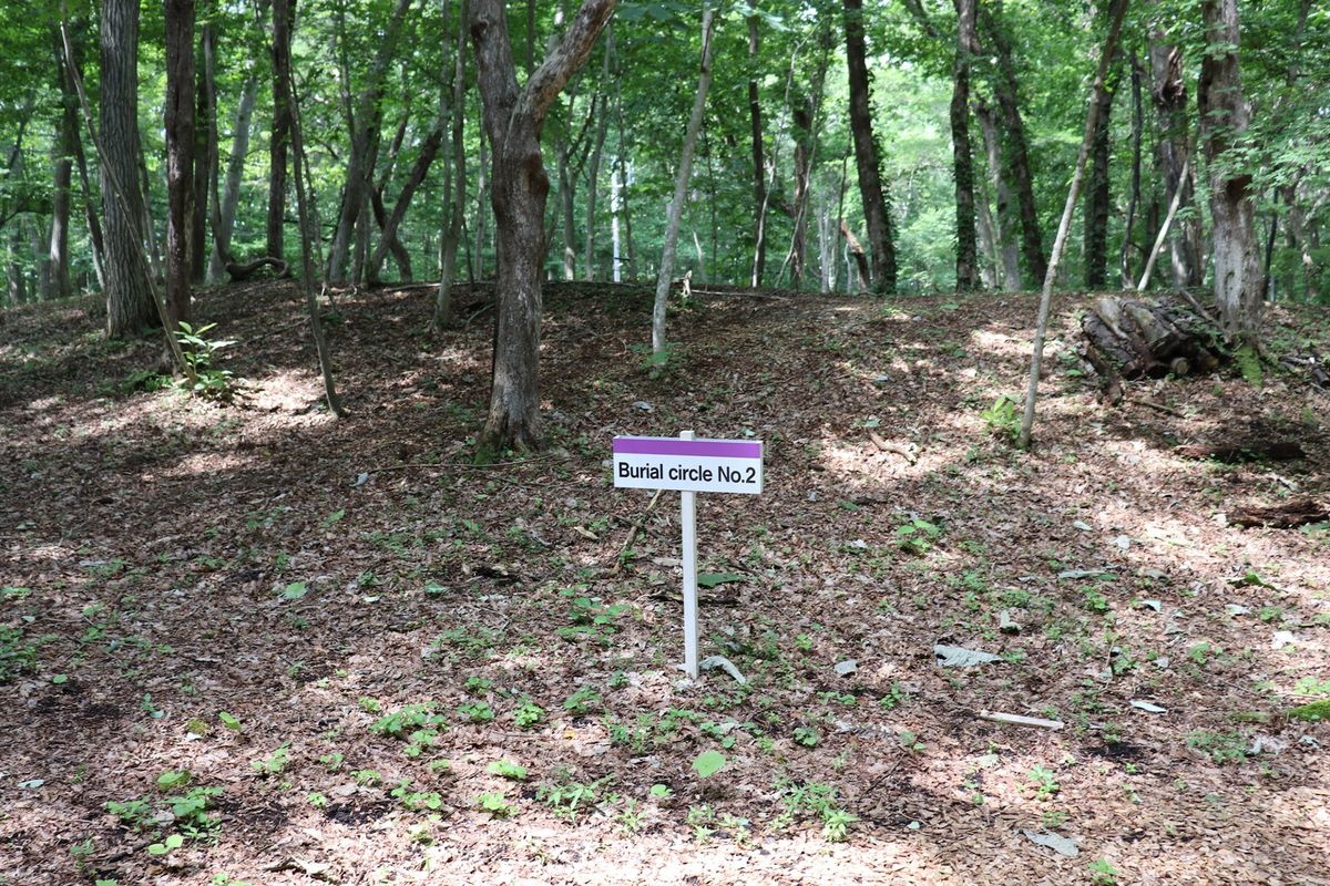 Kiusu Circular Mounds