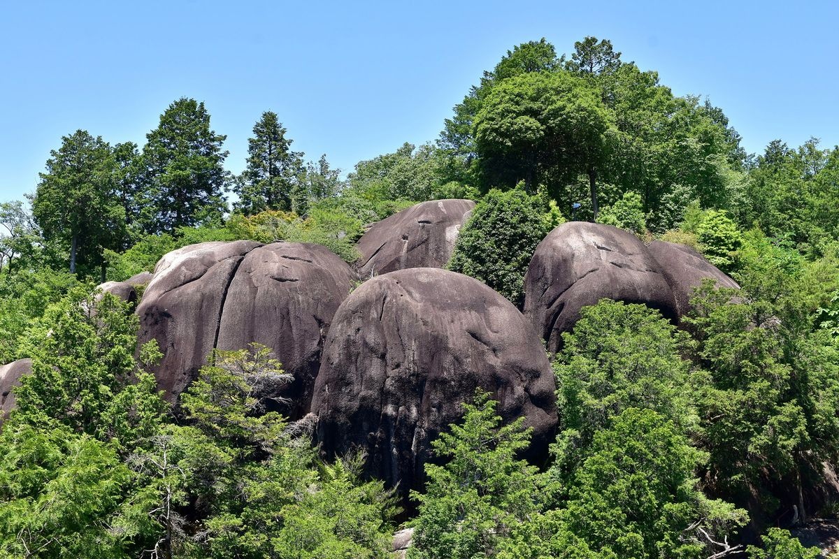 สวนสาธารณะคิอิวะ (Oniwa Park)