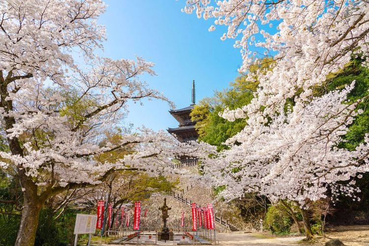 Kiyomizu-dera (Miyama) 2
