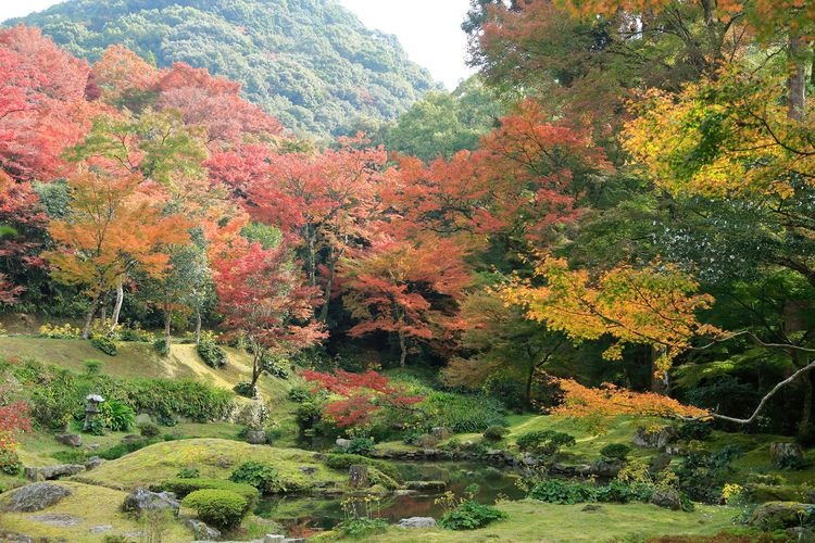 Kiyomizu-dera (Miyama) 4