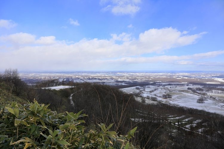 清水圓山展望台 3