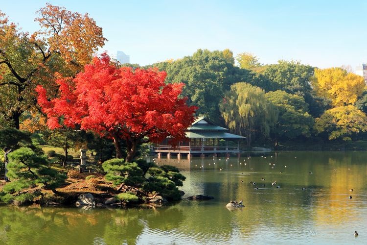 Kiyosumi Teien