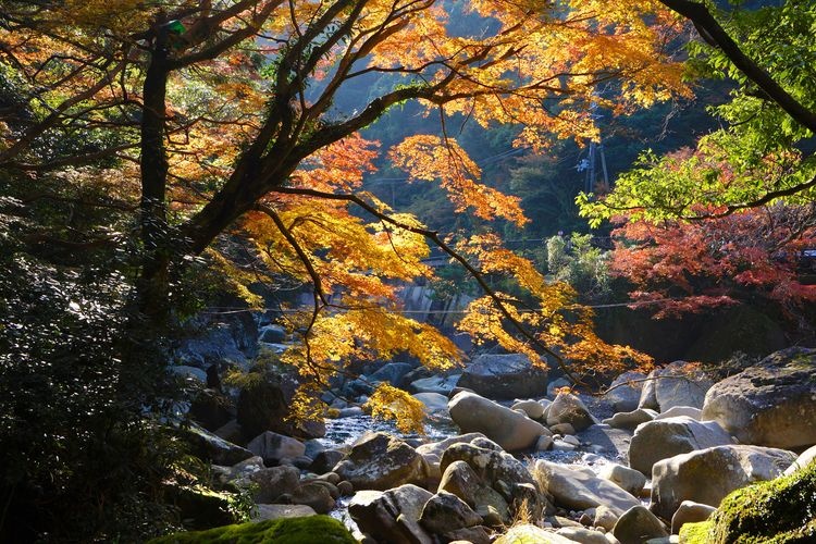 Kizekkyo Gorge