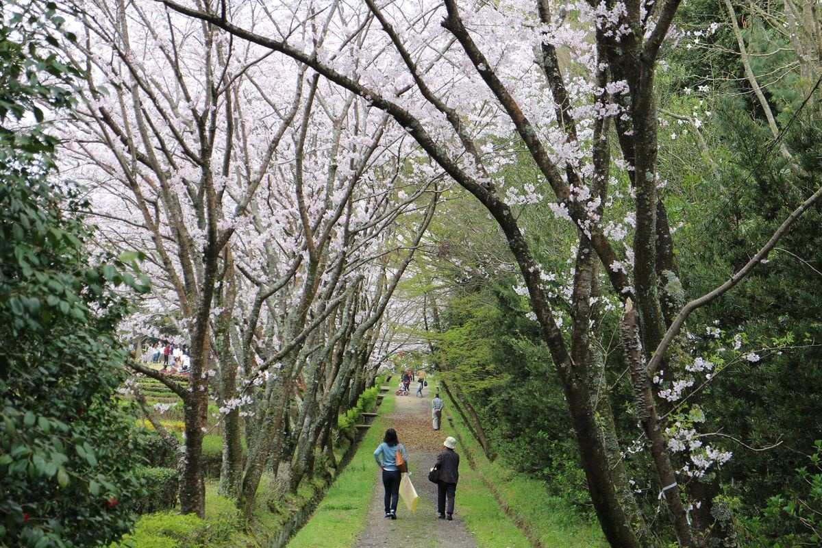 公渕森林公園