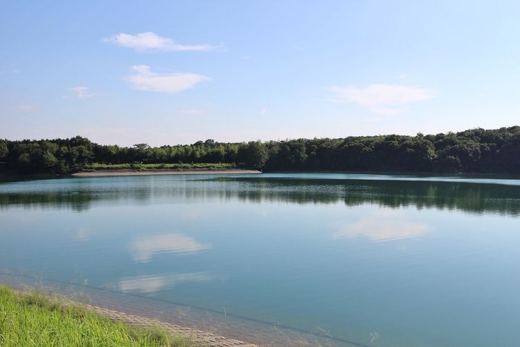 公渕森林公園