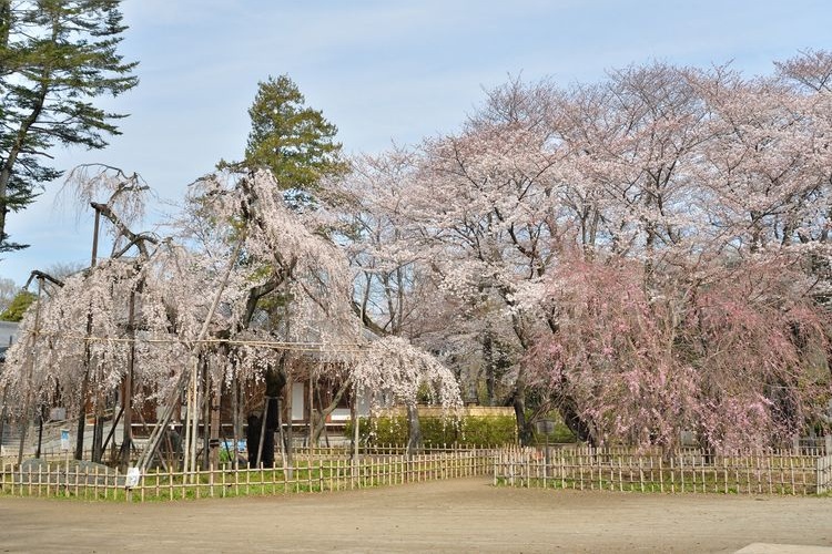 Kobo-ji Temple 2