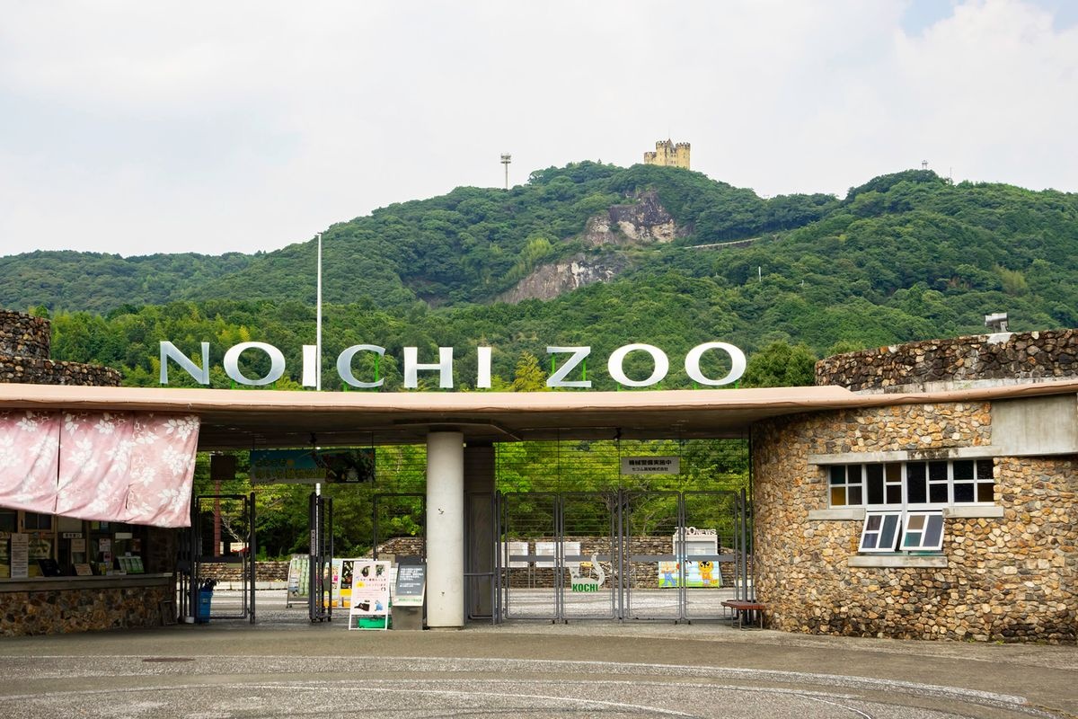 高知縣立之市動物公園