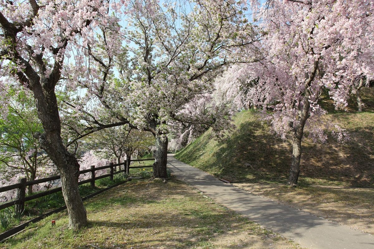 Koda Bunka Koen