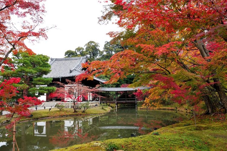 Kodai-ji 4