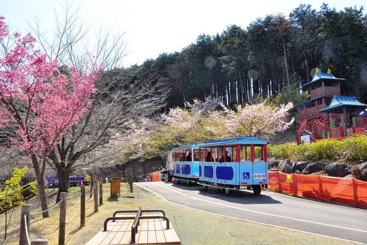 Kodomo no Mori Wanpaku Land 2
