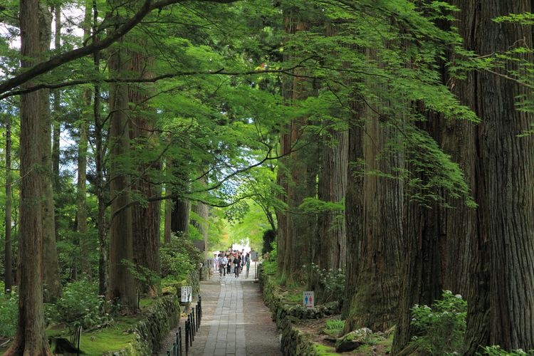 Kosen-ji