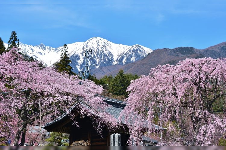Kosen-ji 3