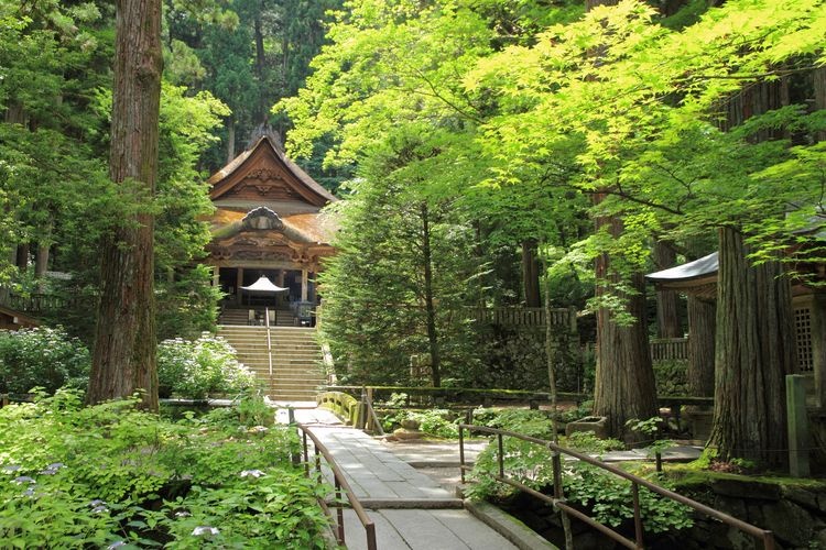 Kosen-ji 8