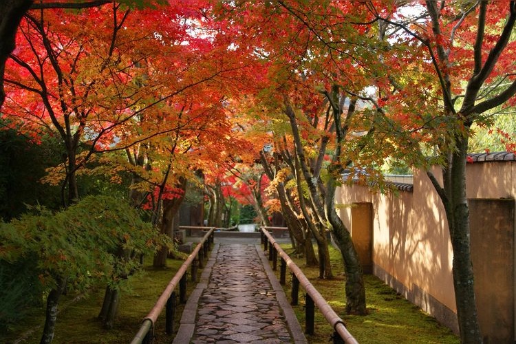 Kōetsu-ji Temple