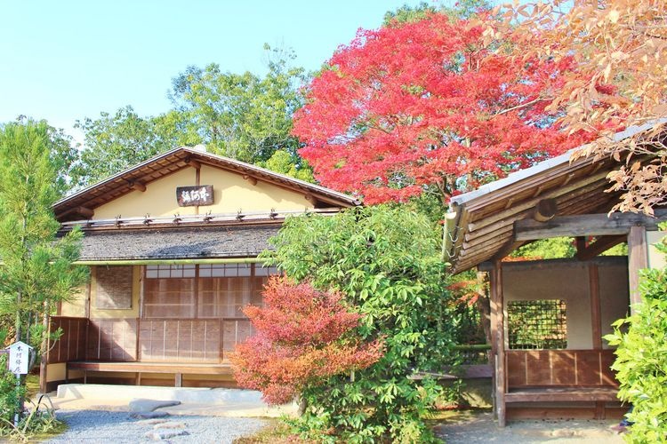 Kōetsu-ji Temple 2