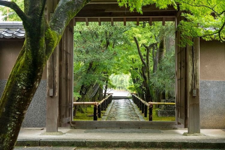 Kōetsu-ji Temple 3