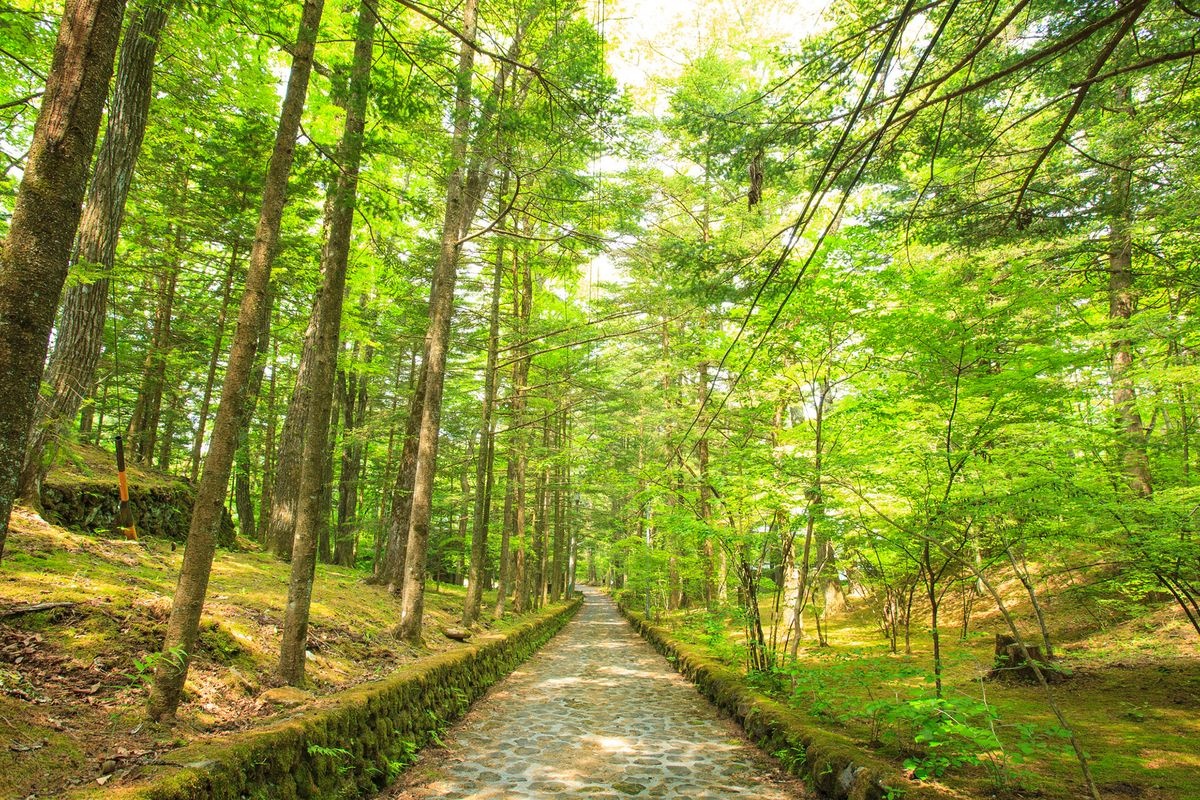 Kofuku no Tani (Vallée du Bonheur)