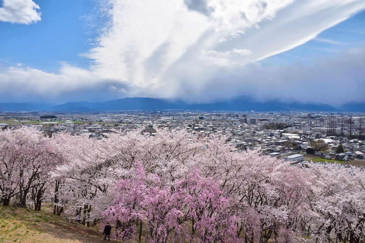 弘法山古墳