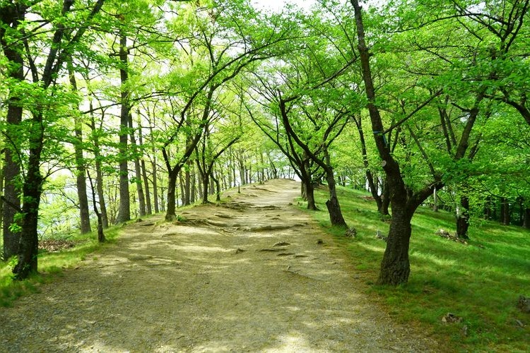 Kofuyama Kofun