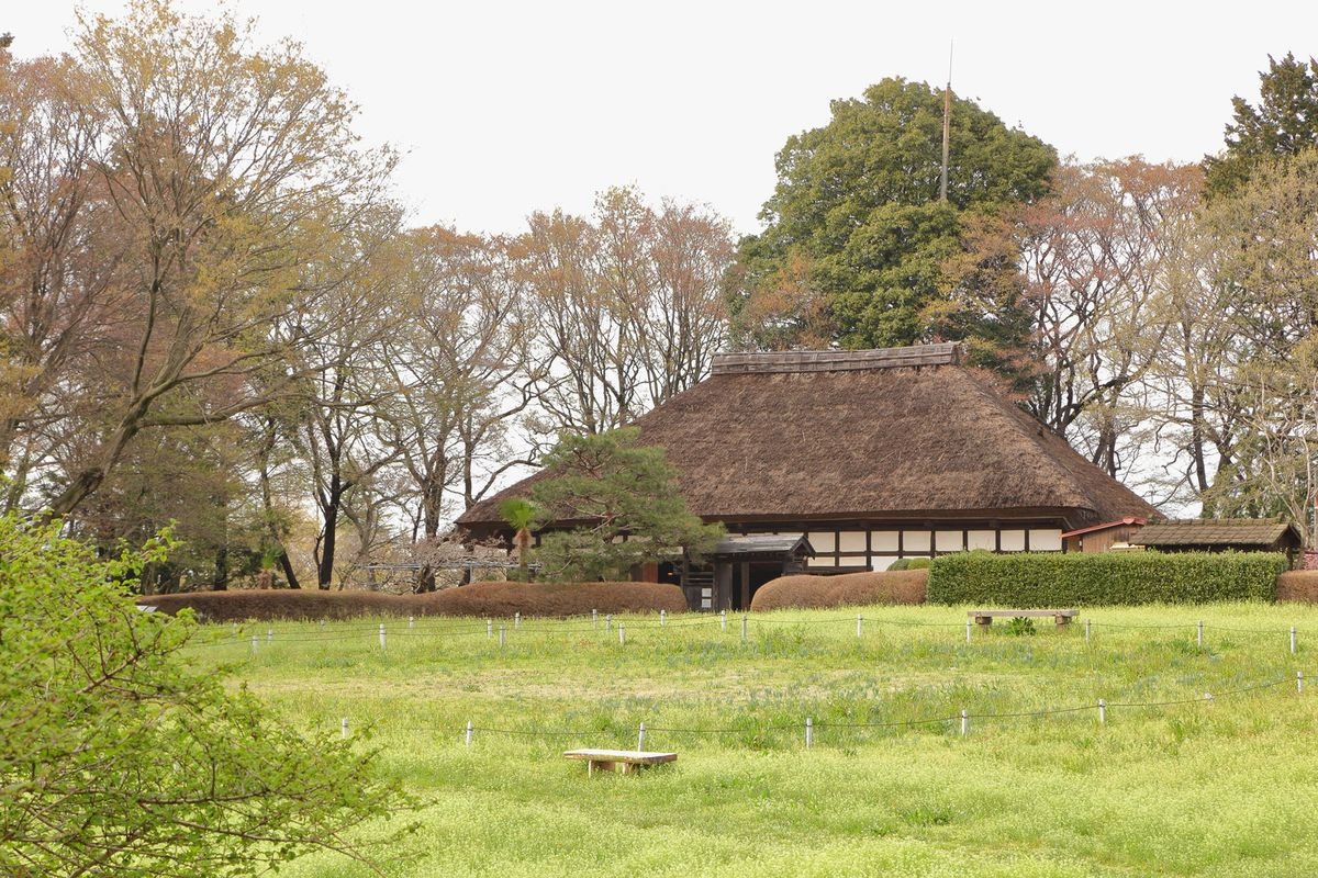 Koga Kousya Park (Koga Sogo Park)