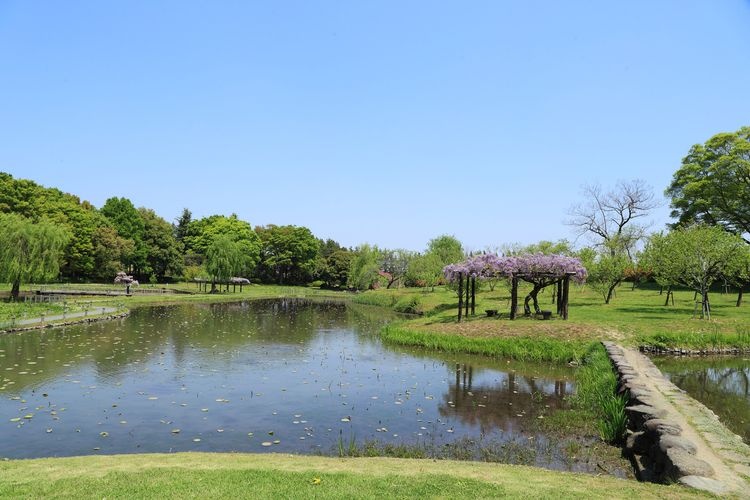 Koga Kobo Park (Koga Sogo Park) 4