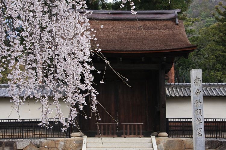 向嶽寺