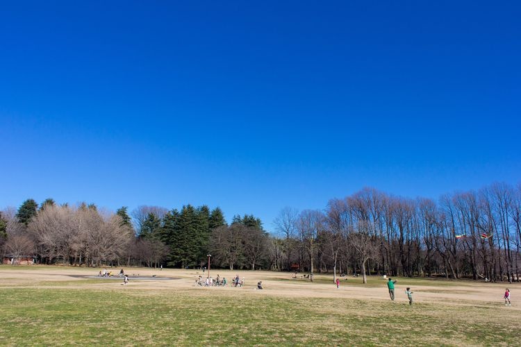 Koganei Park