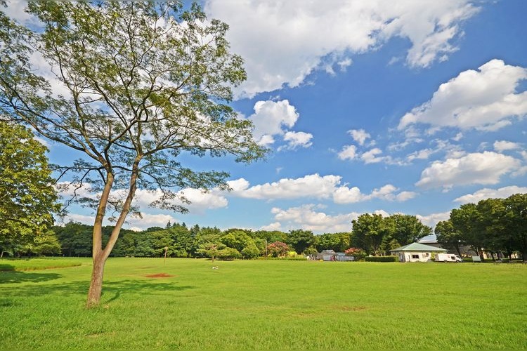 Koganei Park 2