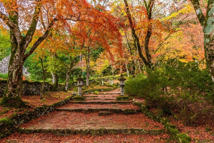 高源寺 2