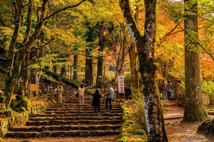 高源寺 4
