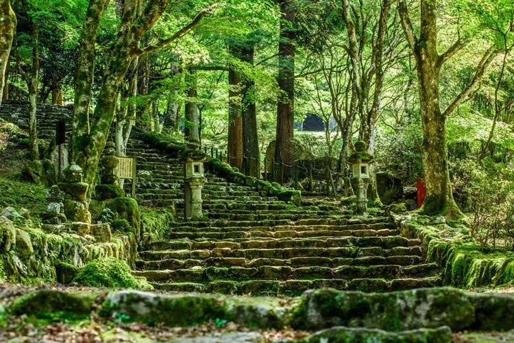 高源寺 7