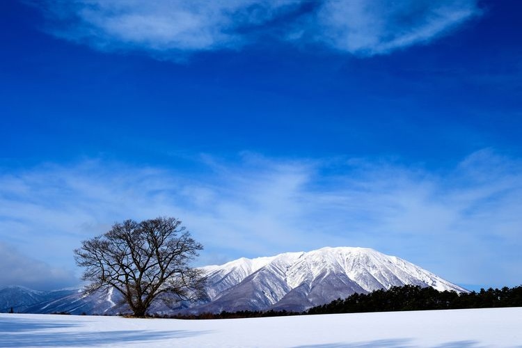 小岩井農場 2