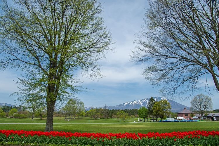 小岩井農場 3