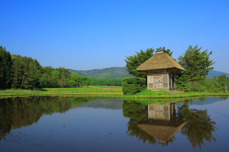 코진 신사 (Kojin Shrine)