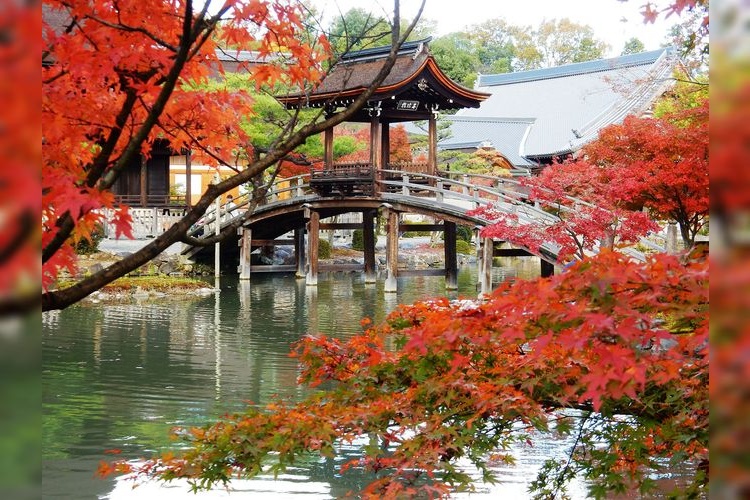 Eiho-ji Temple (Kokeizan) 6