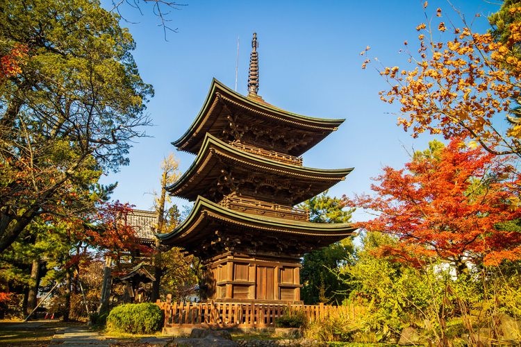 信濃国分寺 3
