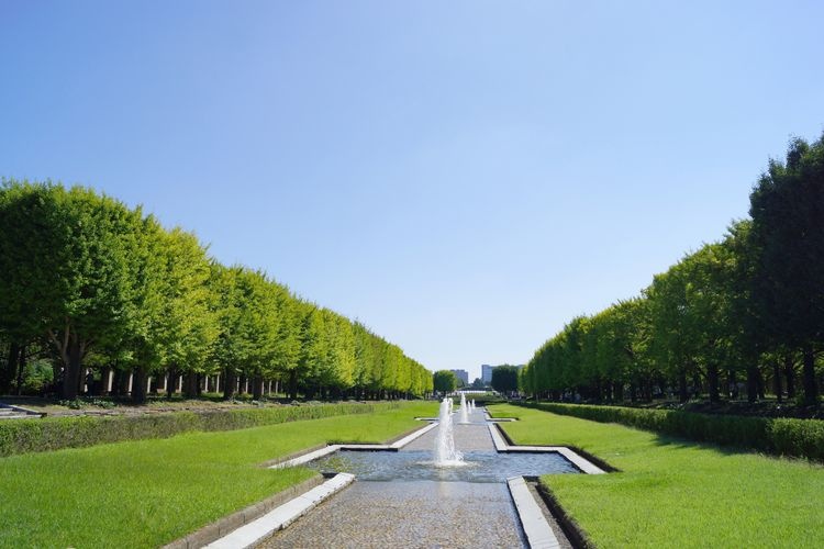 สวนโชวะคิเน็นโคเอ็น (Showa Kinen Park) 3