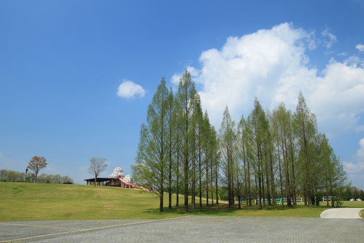 Parque Nacional Bihoku Kyuryo