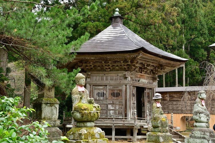 Kugami-ji 2