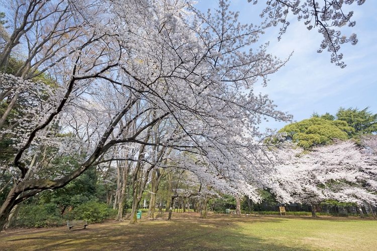 Parco Komaba