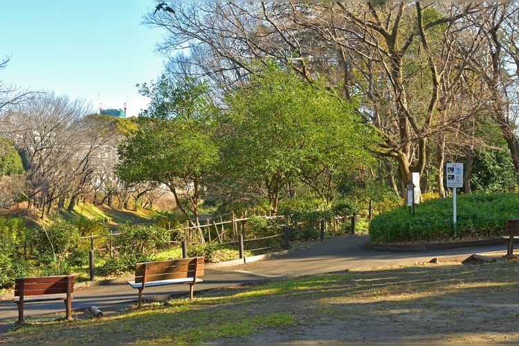 Parco Komaba 2