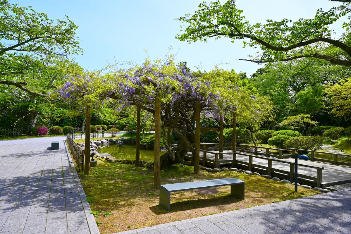 Parque de las Ruinas del Castillo de Komaruyama