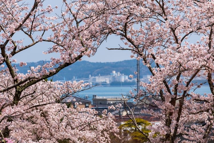 코마루야마 성터 공원 3