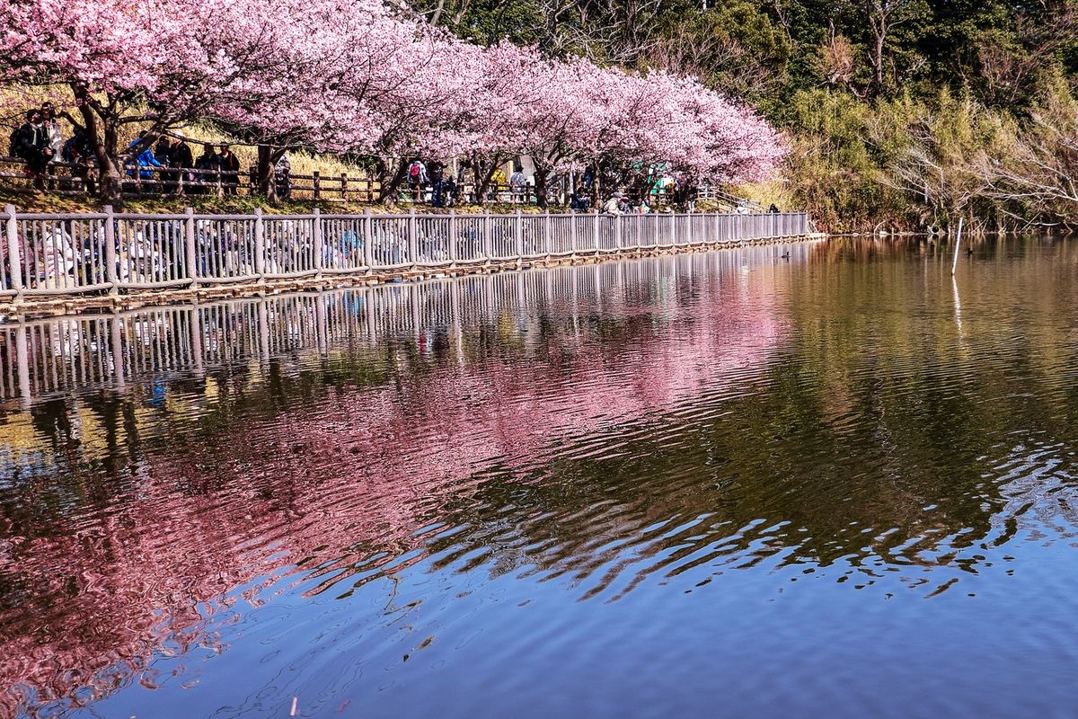 Parc Komatsugaike