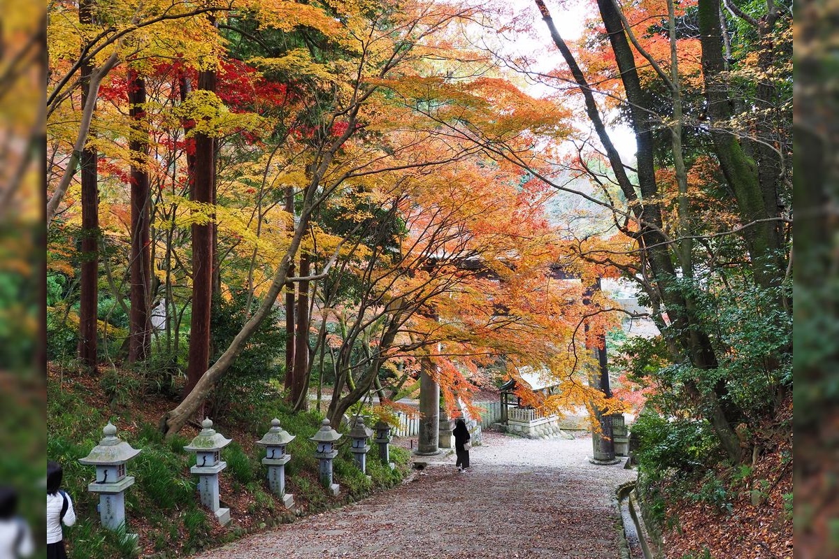 Komiya Jinja (Komiya Shrine)
