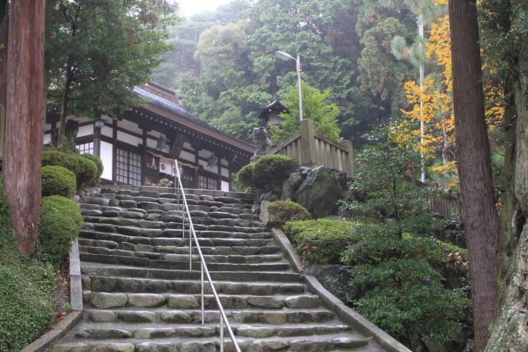 Komiya Jinja (Komiya Shrine)