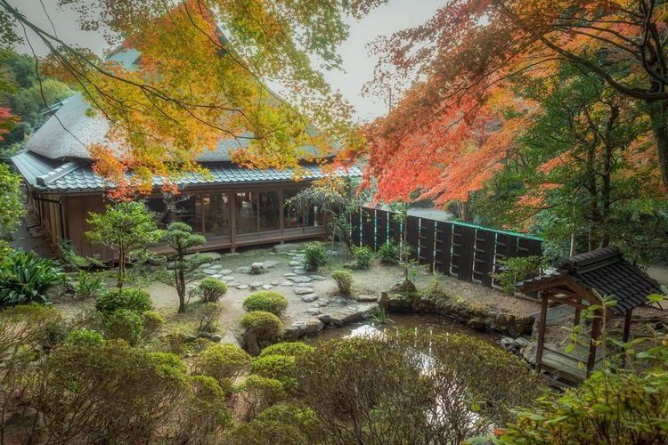 Komiya Jinja (Komiya Shrine) 2
